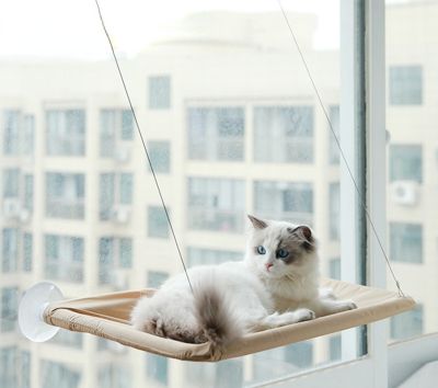 Hanging Cat Bed Window Cat Hammock Aerial Bearing 20kg Beds With Mat Shelf Seat For Cats Comfortable Pet Nest Pet Accessories Beds
