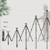 KINGJOY ขาตั้งกล้องสามขาสำหรับกล้อง DSLR กล้องขนาด61นิ้วโทรศัพท์มือถือเดินทางทำจากอลูมิเนียมแบบพกพาพร้อมหัวบอลแบบพาโนรามา360องศาปล่อยอย่างรวดเร็ว