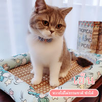 PETBABY บ้านแมว คอนโดแมว บ้าน บ้านสุนัข ที่นอนและเฟอร์นิเจอร์ สำหรับตว์เลี้ยง ที่นอนเย็น ที่นอนสัตว์เลี้ยง cat bed COD เชียงใหม่ส่ง