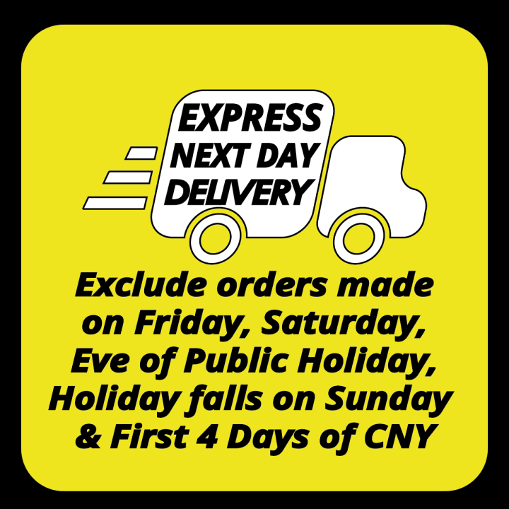 Next Day Express Delivery Lazada Singapore