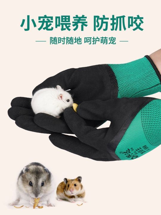 high-end-original-small-pet-anti-bite-gloves-hamster-supplies-childrens-protective-gloves-catch-sea-animals-anti-scratch-cat-golden-bear-parrot