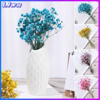 LIWU งานฝีมือ DIY ของตกแต่งบ้าน อุปกรณ์ประกอบฉากภาพ วัสดุธรรมชาติ มินิ Babysbreath ช่อดอกไม้ประดิษฐ์ธรรมชาติ ลำต้นของพืช ดอกไม้จริง