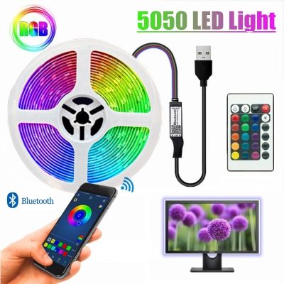 Led Lights Strip RGB 5050 USB Cable Ribbon Lighting Waterproof DC5V Bluetooth IR Remote Controller Decoration Bedroom BackLight