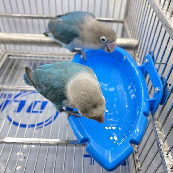 bird-bath-bowl-bath-tube-shower-box-for-cage-hanging-bath-cage-accessories-for-lovebirds-canaries-parakeets-and-other-small-feathered-friends-efficiently