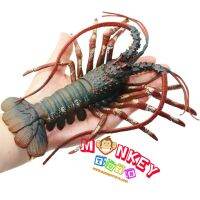 Monkey Toys - โมเดลสัตว์ Lobster กุ้งมังกร ออสเตเลีย เขียว ขนาด 20.00 CM (จากหาดใหญ่)