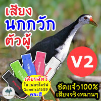 เสียงนกกวักตัวผู้ V.2 เข้าเร็ว เมม/แฟลชไดร์ฟเสียงต่อนกกวักตัวผู้ V.2 มีเก็บเงินปลายทาง เสียงดีชัด100%ไม่มีโฆษณาแทรก (MP3 เสียงต่อสัตว์)