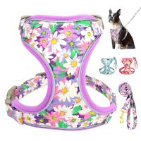 【LZ】 Colorful Print Dog Harness Leash Set Reflective Nylon Dogs Vest Harnesses With Lead Belt Rope for Small Medium Large Dogs Pug