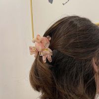 GEHAO สง่างามเรียบหรู หวานหวานแหววว อะซิติก Barrettes บาร์เร็ตต์ เครื่องประดับผมประดับ สีฟ้าสีชมพูสีน้ำตาล กิ๊ปหนีบผมอาซีเตท กิ๊บติดผมรูปหมี คลิปปูผม สไตล์เกาหลีแบบ