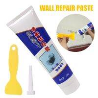 Universal Mending Paste Repair Cream Wall Repairing Ointment Grout Beautiful Sealant for Cracked Peeled Holes Wall Scraper 250g Sealants