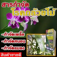 ?ของแท้ ส่งในไทย?  สารป้องกันโรคเน่า ขนาด 100 cc. โรคเน่าดำในกล้วยไม้ โรคปิ้นเหลืองในกล้วยไม้ ยาแมลงเพลี้ยไก่แจ้ ยาไล่เพลี้ย ยาไล่เพลี้ยแป้ง ยาไล่เพลี้ยไฟ ยากันเพลี้ยแป้ง ยากันเพลี้ยไฟ ราน้ำค้าง โรคกล้วยไม้ โรคแอนแทรคโนส โรคเน่าดำ