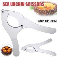 1pc Newest Sea Urchin Opener Scissors Echinus Tongs Chestnut Open Cutter Professional Seafood Opener Kitchen Accessories