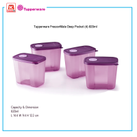 ภาชนะบรรจุอาหาร Tupperware FreezerMate Deep Pocket (4) 820ml