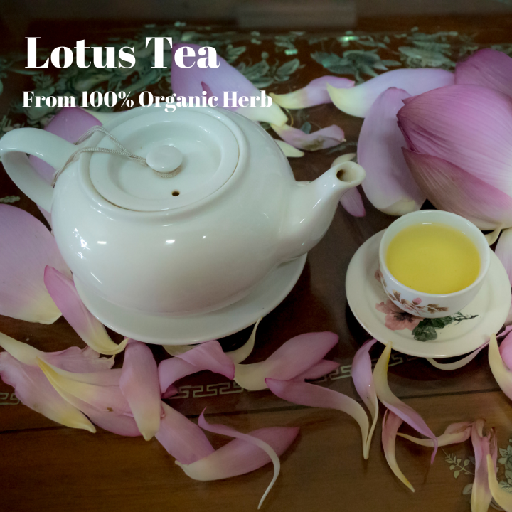 lotus-tea-ชาดอกบัว-ชาดอกบัวหลวง-ชากลีบบัว-ชาเกสรบัว-ชาดีบัว-ชาดอกบัว-100