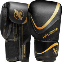 Hayabusa H5 Boxing Gloves for Men and Women 16 oz Black/Gold