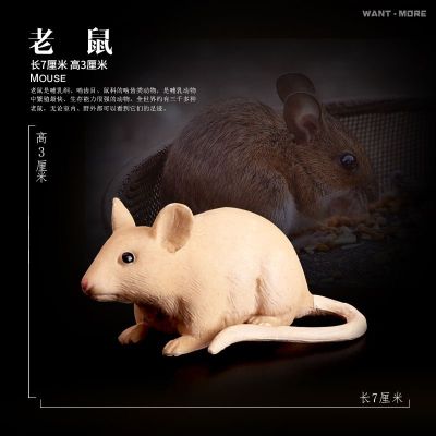 Simulation model of mice hamster wildlife toy chipmunks chipmunk marmot early childhood cognitive 3-10 years old