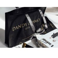 ถุงแบรนด์ DANDY Brand Bag เนื้อสปันบอนด์ Spunbond ดำเงาสกรีนทอง