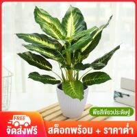 【กรุงเทพมหานคร】ต้นไม้ปลอมพลาสติกเอเวอร์กรีนดอกไม้ปลอม DIY หม้องานแต่งงาน DIY Decor