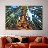 ยักษ์ Sequoia ต้นไม้ใน Sequoia National Park USA ภาพวาดผ้าใบภูมิทัศน์ Wall Art Forest โปสเตอร์พิมพ์สำหรับตกแต่งห้องนั่งเล่น New