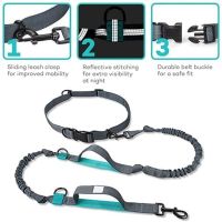 Reflective Hands Free Dog Leash Professional Harness Dual Padded Handles Durable Bungee For Medium and Large Dog Running Walking