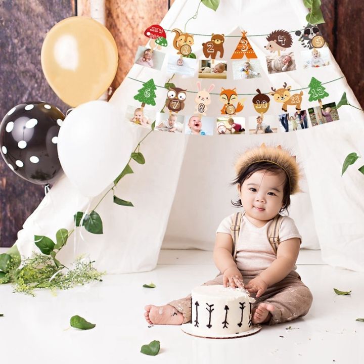 1-12-month-photo-banner-woodland-photo-banner-happy-birthday-party-decor-baby-shower-1st-birthday-boy-girl-12-month-photo-banner