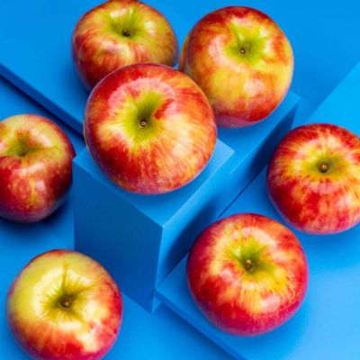 20 เมล็ด เมล็ดแอปเปิ้ล สายพันธุ์ ฮันนี่คริปส์ (Honeycrisp) กรอบและหวานแหลม ของแท้ 100% อัตรางอกสูง 70-80% Apple seeds มีคู่มือปลูก