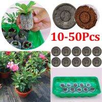 【hot】▦❐♗  10-50Pcs Soil Block Germination Base Material Bran Peat Cuttage   Cutting Seedling-Raising