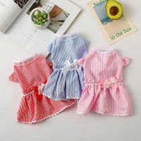 Cat Dress Stripe Summer Dog Clothes Breathable Puppy Skirt Chihuahua French Bulldog Clothing Pet Supplies Bow Dog Princess Dress Dresses