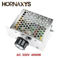 โมดูลเครื่องควบคุมความเร็วมอเตอร์ AC220V 4000W ตัวควบคุมอุณหภูมิหรี่สำหรับไฟ LED เครื่องทำน้ำอุ่นเตาไฟฟ้า