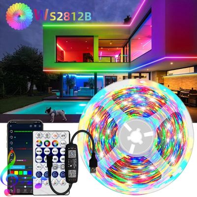 【LZ】 WS2812B LED Strip Lights RGBIC Light Strips for Room USB 5V Bluetooth APP Control Dreamcolor LED Strip Lights For Home Decor