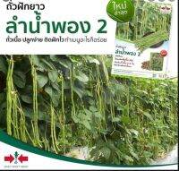 เมล็ดพันธุ์ ถั่วฝักยาว ลำน้ำพอง2 ?แบ่งขาย?บรรจุประมาณ 320-370  เมล็ด ?หมดอายุ 07/10/67?