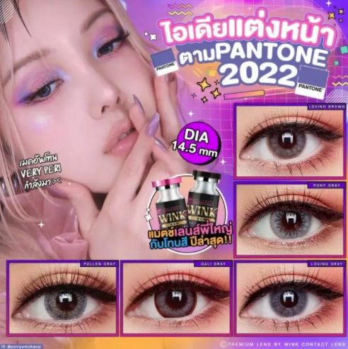 ขายดีที่1-มีค่าสายตา-lovelylens-คอนแทคเลนส์-ลาย-prod-gray-brown-บิ๊กอาย-สุดปัง-คอนแทคเลนส์-รายเดือน-มีอย-แถมตลับฟรี-เลนส์นิ่ม-สวยปัง