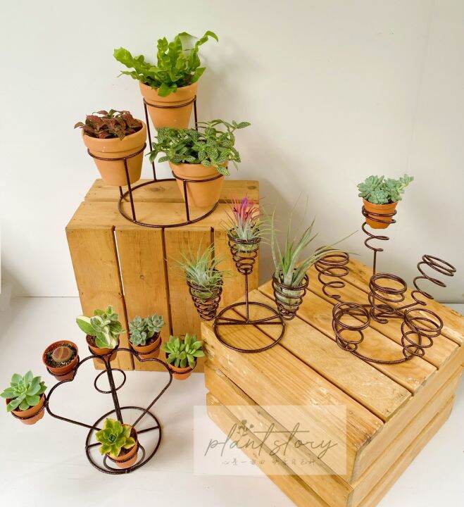 🌵Cactus rack🌵 Succulents rack🍀Tillandsia rack🍀🌸Flower rack🌸Ready stock🚚 ...
