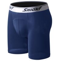 【CW】 Shionf Super Silk Men Panties 2pcs/pack Soft Moisture Wicking XL-9XL Underpants