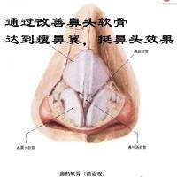 เพิ่มในรถเข็นจมูกจมูกจมูกจมูกจมูกจมูกจมูกจมูกจมูกจมูกจมูกจมูกจมูก