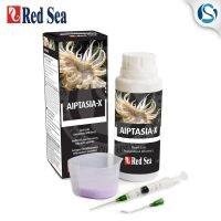 Aiptasia ทะเลสีแดง-X รับประกันแนวปะการัง-การกำจัดที่ปลอดภัยของ Aiptasia