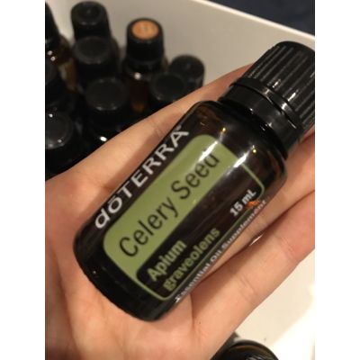 celery seed essential oil พร้อมส่ง น้ำมัน เซราลี่ น้ำมัหอมระเหยแท้