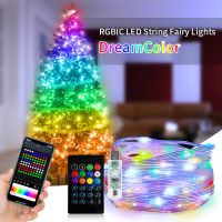 WS2812B Bluetooth LED String Fairy Lights Dreamcolor RGBIC Addressable Party Christmas Lights Wedding Decoration Garland USB 5V