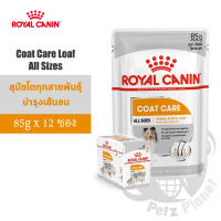 Royal Canin Coat Care Loaf อาหารสุนัขโตทุกขนาดที่ต้องการดูแลสุขภาพเส้นขน ขนาด85กรัมx12ซอง