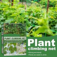 【CW】 1 Set Climbing Mesh Polypropylene Trellis Netting Cultivation Knots Design Growing Support Net Garden Supply