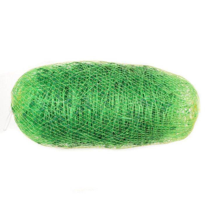 Climbing Plants for Green Plastic Trellis Netting Commercial Grade