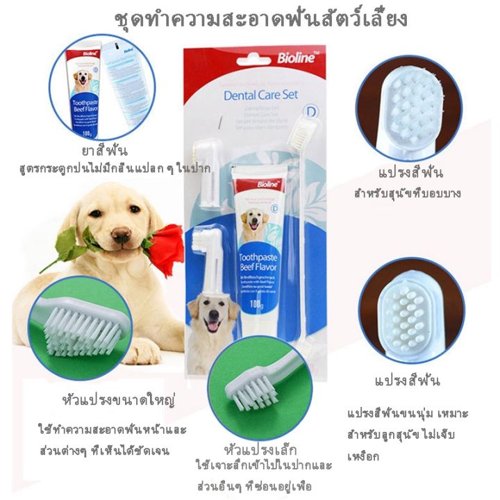 dimama-codbioline-ชุดแปรงฟันสัตว์เลี้ยง-แปรงฟันหมา-แปรงฟันแมว-ชุดแปรงฟัน-ยาสีฟันหมา