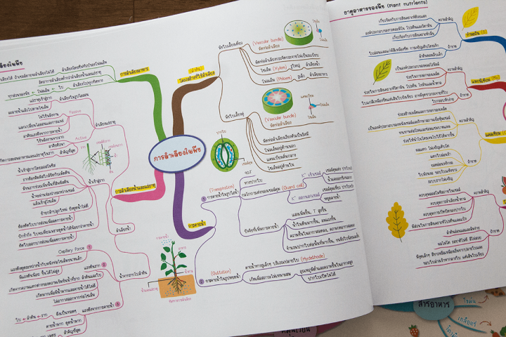 science-map-สรุปเนื้อหาวิทยาศาสตร์-ระดับมัธยมต้น