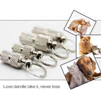 TEXNew Silver Golden Pet Cat Dog ID Tag For Dogs Cats Anti Lost Name Address Label Identity Storage Tube Collar Pet Products Home