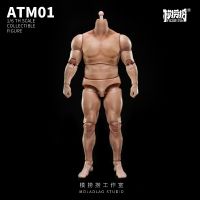 MO LAO LAO STUDIO  ATM01 1/6 Male Stout Body Standard Version