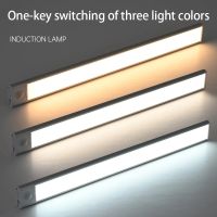 TYPE-C USB Night Light LED Lights Motion Sensor Three colors in one Lamp For Kitchen Cabinet Bedroom Wardrobe Indoor Lighting