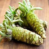 50 เมล็ดพันธุ์ Garden Seeds วาซาบิ Wasabi Seeds มีคู่มือพร้อมปลูก อัตรางอก 80-85%