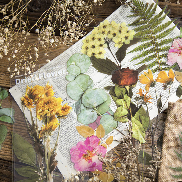 o-urhome-สติ๊กเกอร์พ็อกเก็ตพืช-6pcs-decorative-dried-flower-stickers-สติ๊กเกอร์-ดอกไม้แห้ง-เกอร์ตกแต่งสมุดติดวางแผนวารสารการเดินทางสติกเกอร์เครื่องเขีย