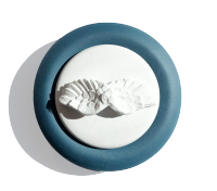 Oshadhi Aroma stone (Wings with blue plate)