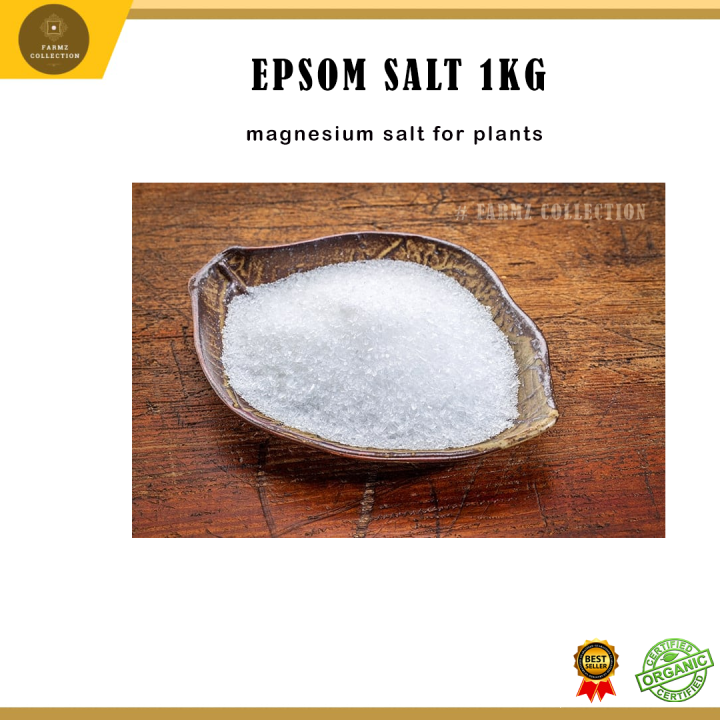 AG Magnesium Sulphate 1KG Epsom Salt Pertanian Organic VALUABLE