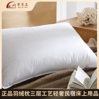 Genuine Down Pillow Core Duck Down Goose Down Pillow Hotel B B Bedding Factory Direct Sales pillow